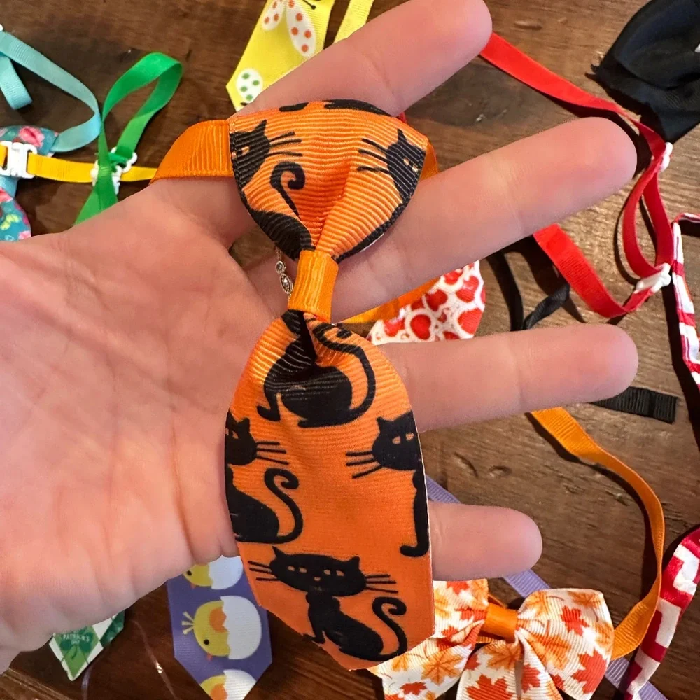 Bundle of handmade cat neckties and bows